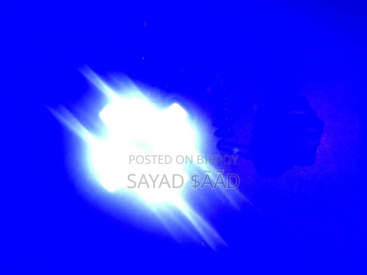 Cycle Light
