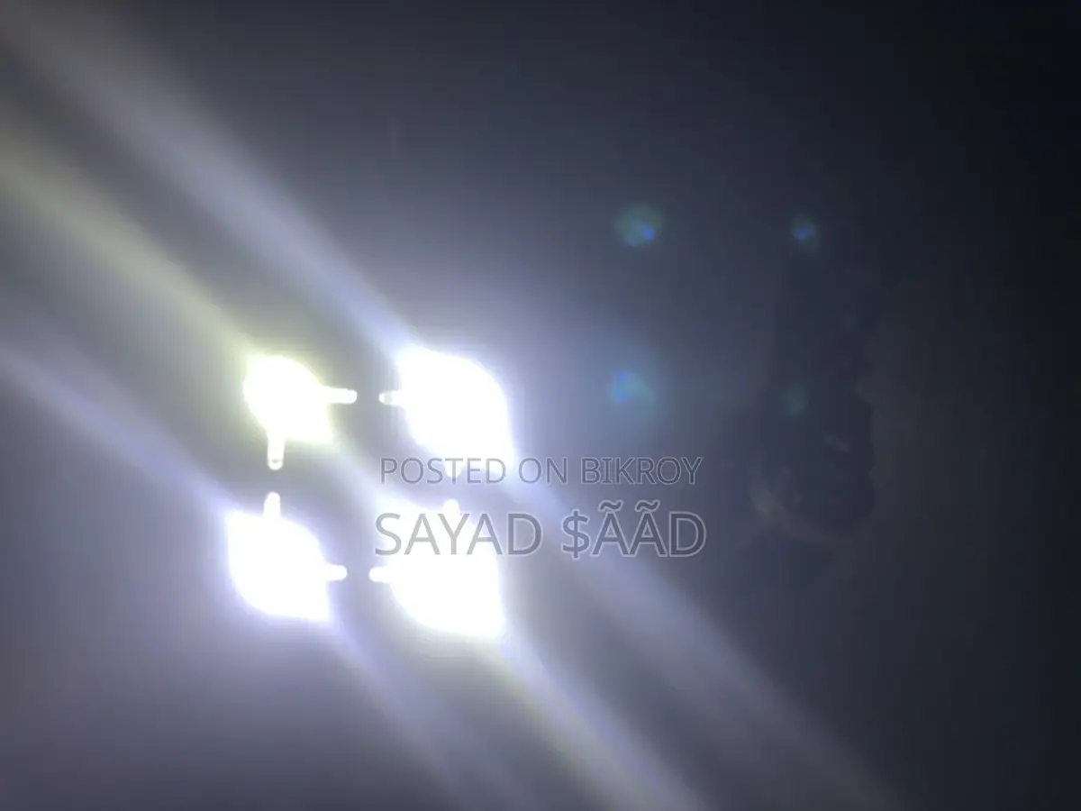 Cycle Light