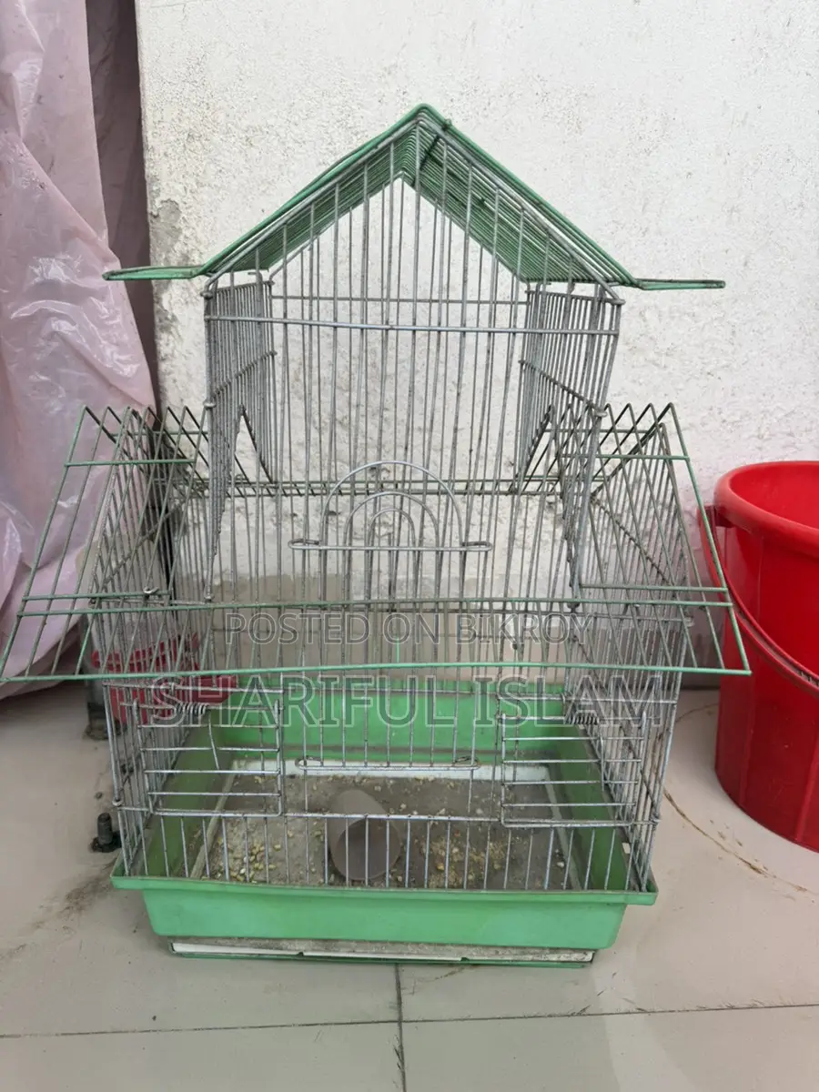 পাখির খাচার সাথে পানির পট ফ্রি