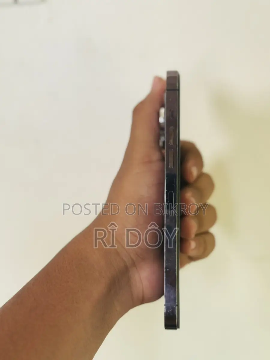 Apple iPhone 14 Pro Max . (Used)
