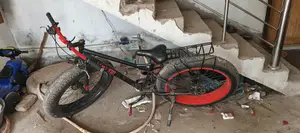 Fat Cycle Sale