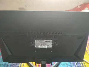 Esonic Computer Monitor