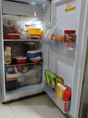 ভিশন ফ্রিজ