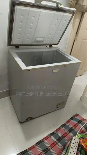 Deep Freezer - Esquire Brand