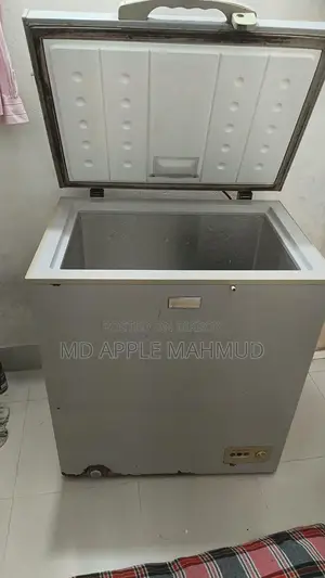Deep Freezer - Esquire Brand