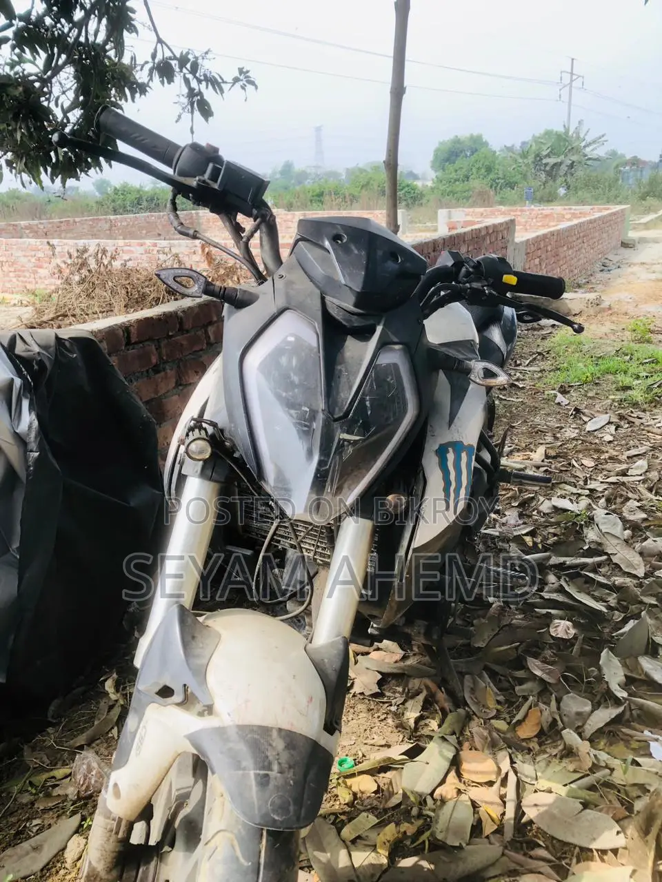 Benelli 165S 2016