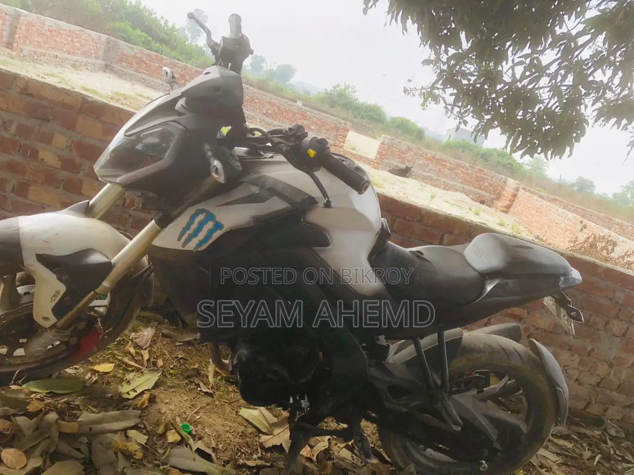 Benelli 165S 2016