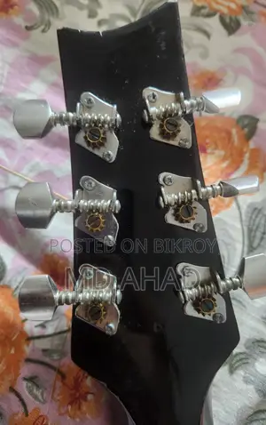 Acoustic Guitar - Custom 2020c
