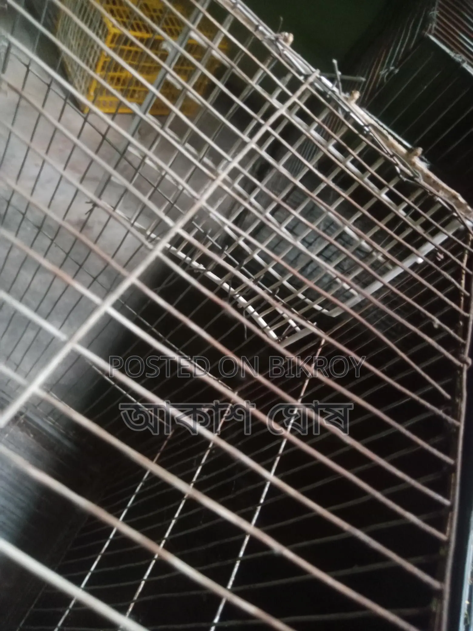 ককাটেল পাখির খাঁচা সেল হবে