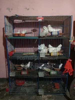 ৮ খুপের খাচা সাথে ট্রে পানির পাত্র আছে