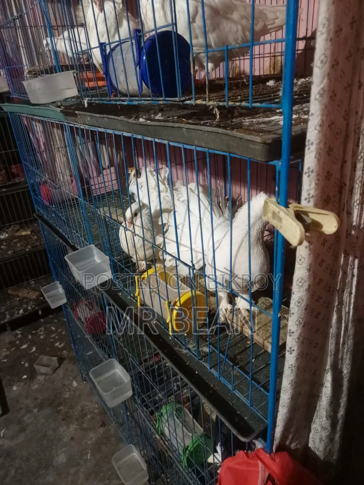 ৮ খুপের খাচা সাথে ট্রে পানির পাত্র আছে