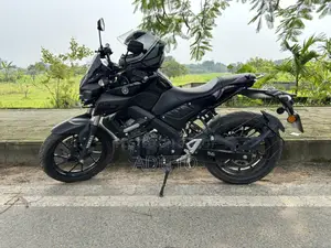 Yamaha MT 15 . 2024