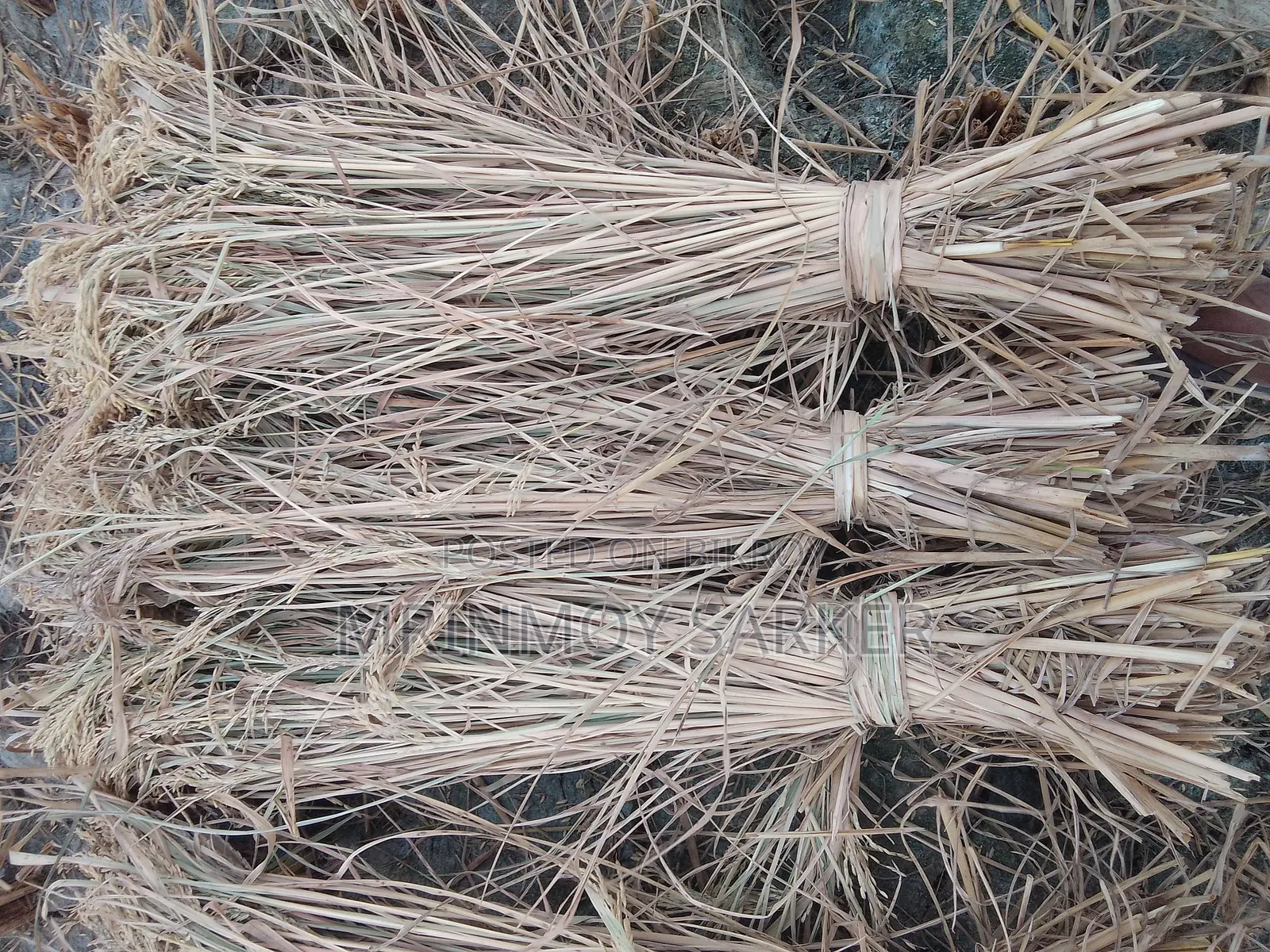 Large Size Long Straw