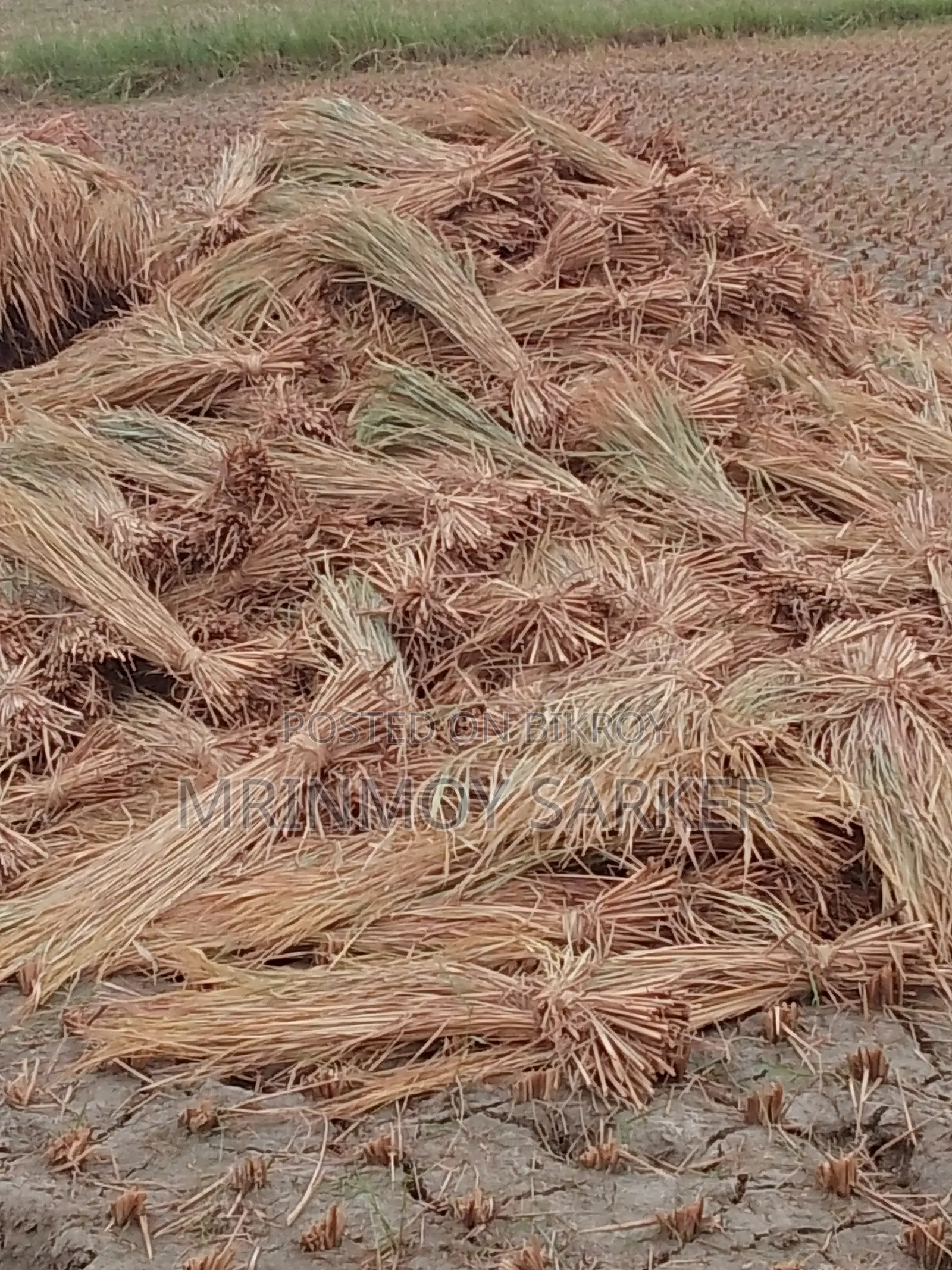 Large Size Long Straw