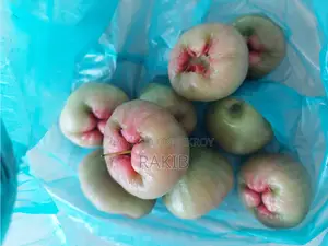 সিডলেস জামরুল গাছ ফল সহ