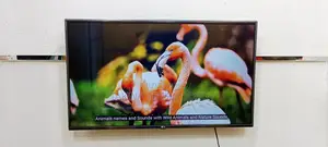 LG-43" Inch Smart Voice Control Dolby Audio Sound