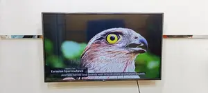 LG-43" Inch Smart Voice Control Dolby Audio Sound