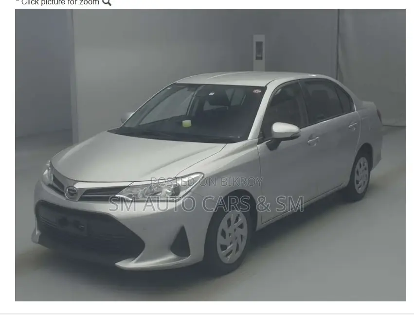 Toyota Axio Non Hybrid EX Silver 2020