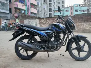 Suzuki Hayate 2019