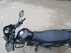 Suzuki Hayate 2019