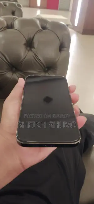 Apple iPhone 13 Pro Max (Used)