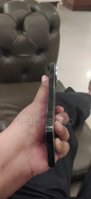 Apple iPhone 13 Pro Max (Used)