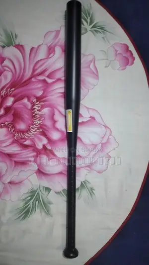 New Baseball Bat