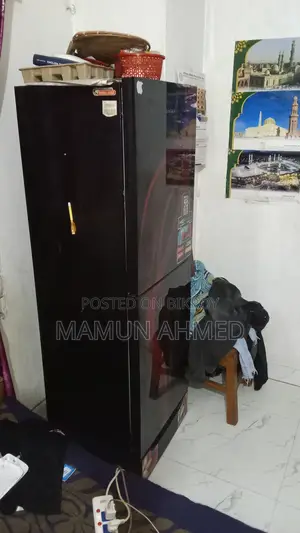 Singer Frize S-500