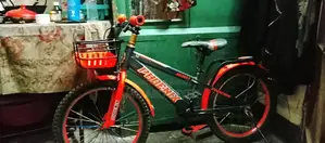 Phonixe 3.00 the Cycle 4 Months Is Use