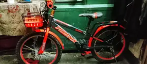 Phonixe 3.00 the Cycle 4 Months Is Use