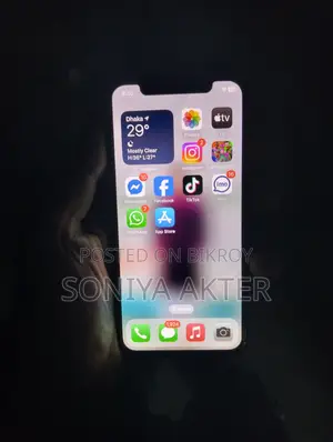Apple iPhone X 256GB (Used)