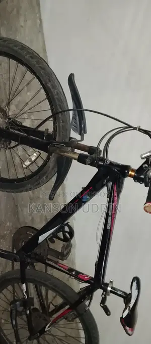 Raleigh Running Bicycle for Sale