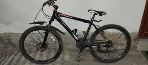 Raleigh Running Bicycle for Sale
