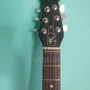 Signature Guitar Bose Enterprise