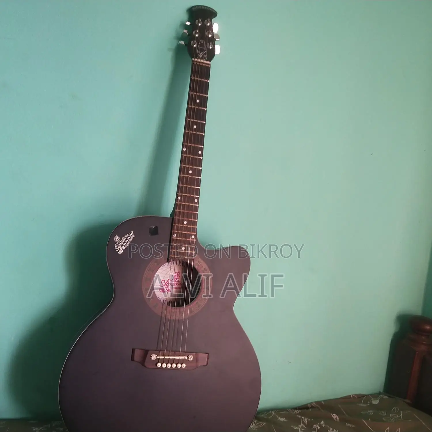 Signature Guitar Bose Enterprise