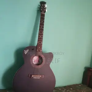 Signature Guitar Bose Enterprise