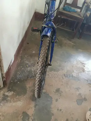 Bicycle For Sale