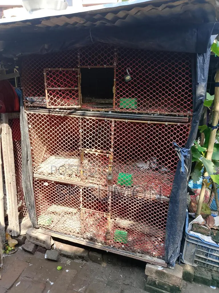 মুরগির খাঁচা