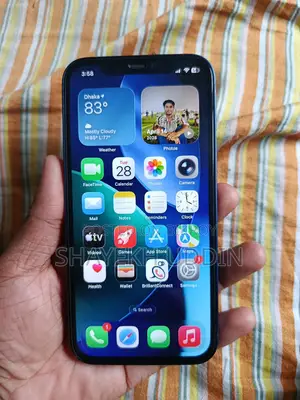 Apple iPhone 12 (Used)