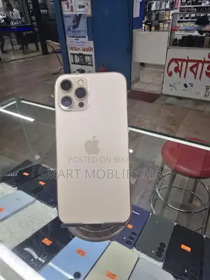অ্যাপল আইফোন ১২ প্রো ম্যাক্স ২৫৬ জিবি গোল্ড