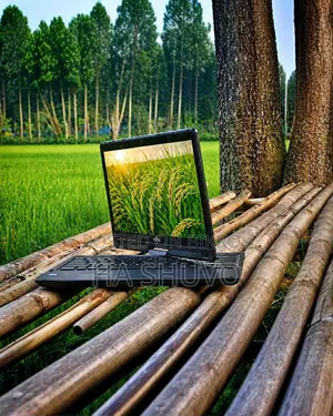 Laptop Fujitsu Lifebook T900 8GB Intel Celeron SSD 256GB