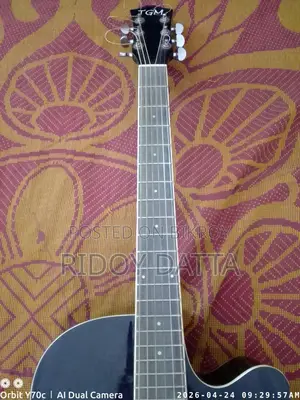 Acoustic Guitar