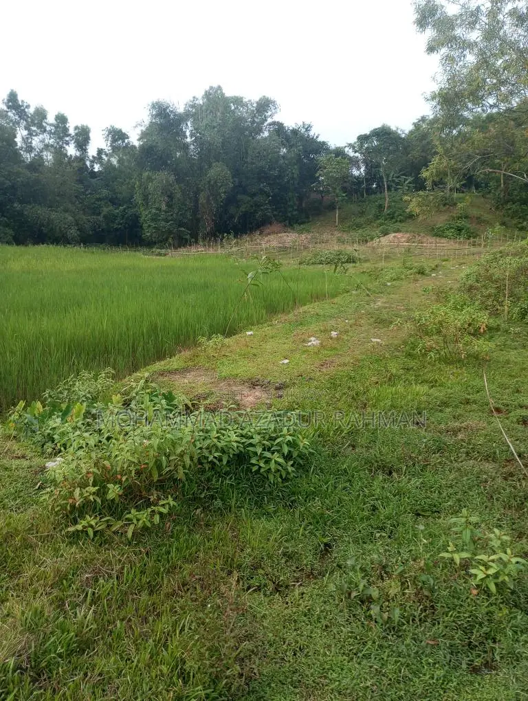 বাড়ি করার জন্য উপযুক্ত ৭২ শতক জায়গা বিক্রয় হবে।