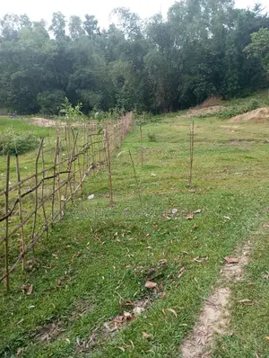 বাড়ি করার জন্য উপযুক্ত ৭২ শতক জায়গা বিক্রয় হবে।