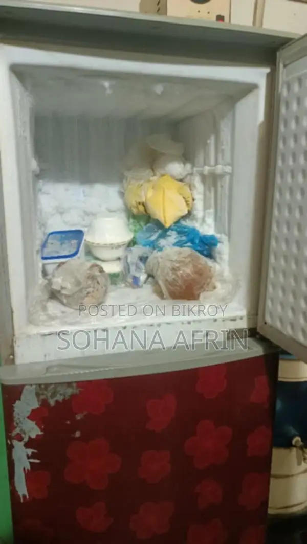 Refrigerator for Sale
