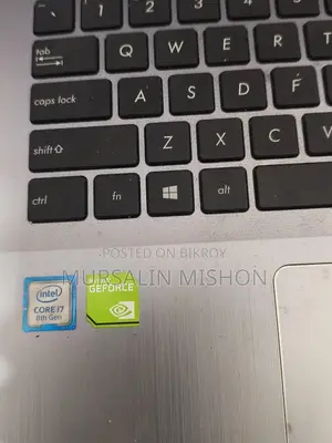 Asus Vivobook FL8000U