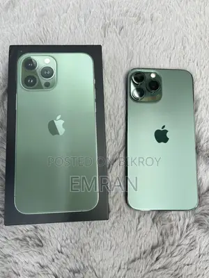 Apple iPhone 13 Pro Max 256 gb (Used)