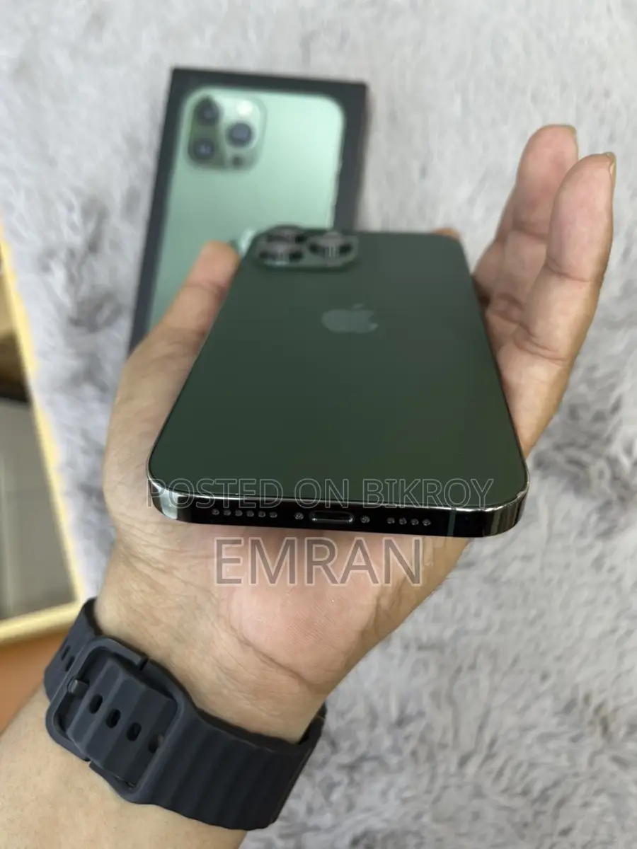 Apple iPhone 13 Pro Max 256 gb (Used)