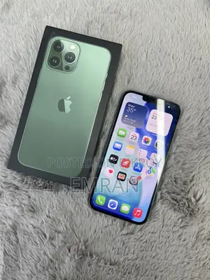 Apple iPhone 13 Pro Max 256 gb (Used)