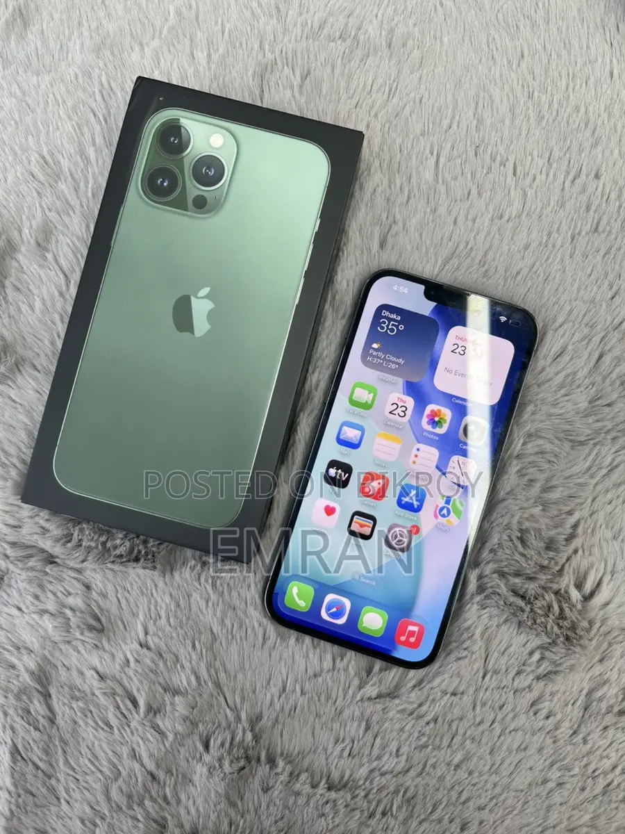 Apple iPhone 13 Pro Max 256 gb (Used)